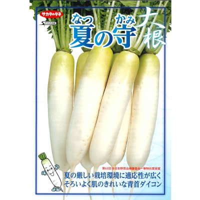 画像4: 送料無料　[大根]　夏の守　ペレット種子5000粒　(株)サカタのタネ