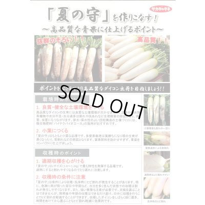 画像3: 送料無料　[大根]　夏の守　8000粒　(株)サカタのタネ