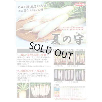 画像2: 送料無料　[大根]　夏の守　8000粒　(株)サカタのタネ
