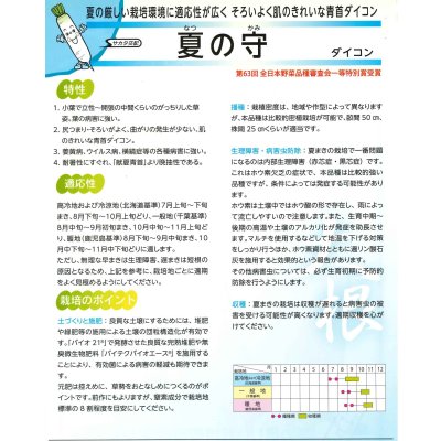 画像6: [大根] 夏の守 800粒 (株)サカタのタネ