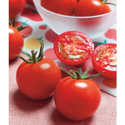 画像2: 送料無料　[トマト/中玉トマト]　TYフルティカSC　100粒　タキイ種苗(株)