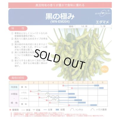 画像1: 送料無料　[枝豆]おいしい枝豆とれました黒の極み　1dl　(およそ180粒)　渡辺農事（株）