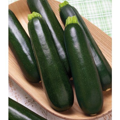 画像3: 送料無料　[ズッキーニ]　ダイナーEX　100粒　タキイ種苗（株）