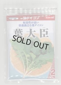 [大根] 葉ダイコン 葉大臣 2dl (株)サカタのタネ