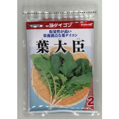 画像1: 送料無料 [大根] 葉ダイコン 葉大臣 2dl (株)サカタのタネ