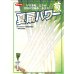 画像4: 送料無料　[ねぎ]　夏扇パワー　3ml(粒数目安およそ500粒)　(株)サカタのタネ　実咲450（101526） (4)