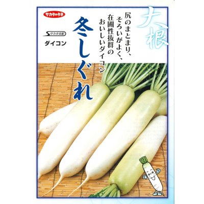 画像4: 送料無料　[大根]　冬しぐれ　(約150粒)　(株)サカタのタネ　実咲450（003955）