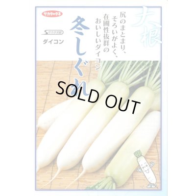 画像4: 送料無料　[大根]　冬しぐれ　(約150粒)　(株)サカタのタネ　実咲450（003955）