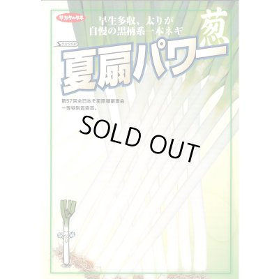 画像6: 送料無料　[ねぎ]　夏扇パワー　ペレット種子　6000粒　(株)サカタのタネ