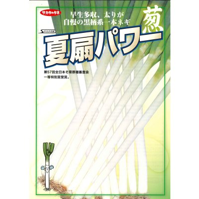 画像5: 送料無料 [ねぎ] 夏扇パワー 1dl(裸種子) (株)サカタのタネ