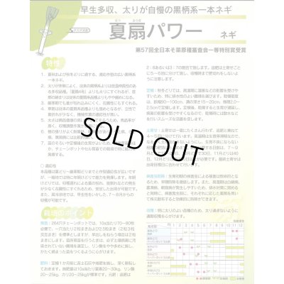 画像7: 送料無料　[ねぎ]　夏扇パワー　ペレット種子　6000粒　(株)サカタのタネ