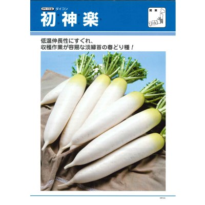 画像4: 送料無料　大根　初神楽　3.5ml　タキイ種苗(株)　DF