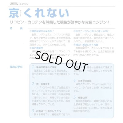 画像5: [人参] 送料無料 京くれないEX ペレット種子1万粒 タキイ種苗(株)