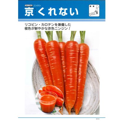 画像4: [人参] 京くれないEX ペレット種子200粒 タキイ種苗(株)