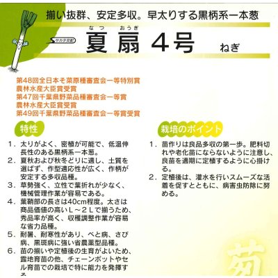 画像6: 送料無料　[ねぎ]　夏扇4号　20ml　(裸種子)　(株)サカタのタネ