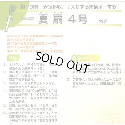 画像6: [ねぎ] 夏扇4号 20ml (裸種子) (株)サカタのタネ