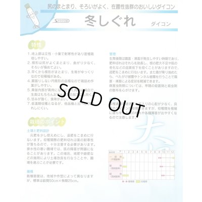 画像5: 送料無料　[大根]　冬しぐれ　(約150粒)　(株)サカタのタネ　実咲450（003955）