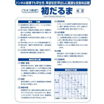 画像5: 送料無料　[枝豆]　初だるま　100粒　カネコ種苗（株）