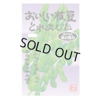 送料無料　[枝豆]　　おいしい枝豆とれました（黒の極み）　1dl　(およそ180粒)　渡辺農事（株）