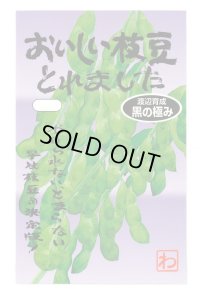 送料無料　[枝豆]　　おいしい枝豆とれました（黒の極み）　1dl　(およそ180粒)　渡辺農事（株）