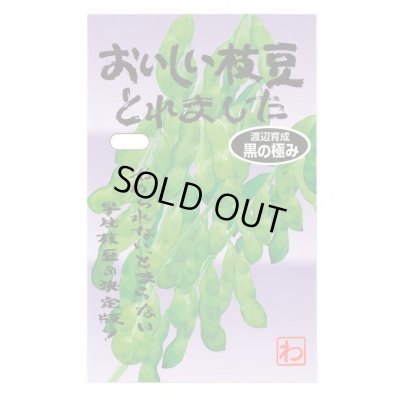 画像1: 送料無料　[枝豆]　　おいしい枝豆とれました（黒の極み）　1dl　(およそ180粒)　渡辺農事（株）