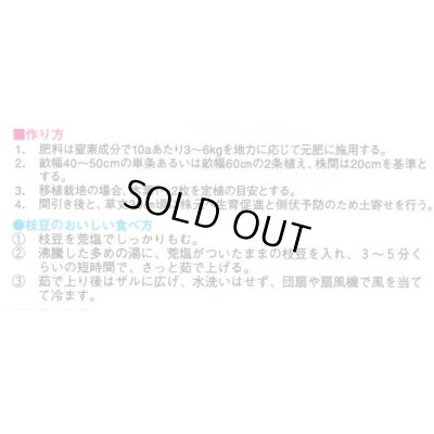 画像3: 送料無料　[枝豆]　　おいしい枝豆とれました（黒の極み）　1dl　(およそ180粒)　渡辺農事（株）