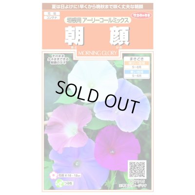 画像1: 送料無料　花の種　垣根用アーリーコールミックス　8粒　（株）サカタのタネ　実咲200（026306）