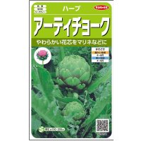 送料無料　[ハーブの種]　　アーティチョーク　17粒　(株)サカタのタネ　実咲（003192）