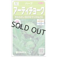 送料無料　[ハーブの種]　　アーティチョーク　17粒　(株)サカタのタネ　実咲（003192）