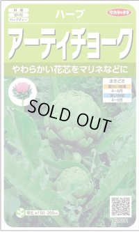 送料無料　[ハーブの種]　　アーティチョーク　17粒　(株)サカタのタネ　実咲（003192）