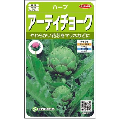 画像1: 送料無料　[ハーブの種]　　アーティチョーク　17粒　(株)サカタのタネ　実咲（003192）