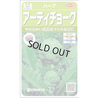 画像1: [ハーブの種] アーティチョーク 17粒 (株)サカタのタネ 実咲250(003192)