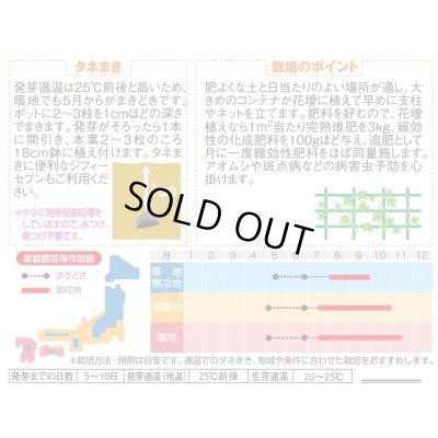画像2: 送料無料　花の種　垣根用アーリーコールミックス　8粒　（株）サカタのタネ　実咲200（026306）