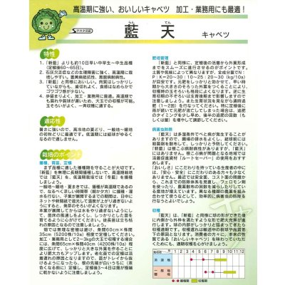 画像5: 送料無料　[キャベツ]　藍天　0.8ml（約85粒）（株）サカタのタネ　実咲450（003731）