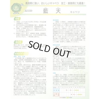 画像5: 送料無料　[キャベツ]　藍天　0.8ml（約85粒）（株）サカタのタネ　実咲450（003731）