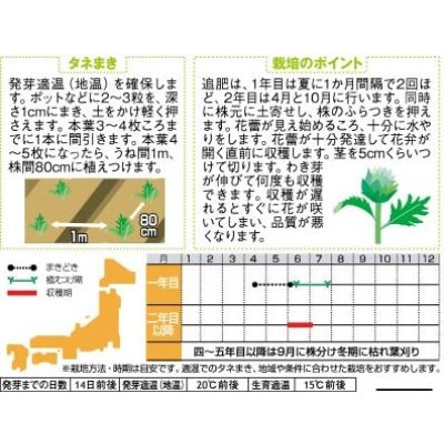 画像3: 送料無料　[ハーブの種]　　アーティチョーク　17粒　(株)サカタのタネ　実咲（003192）