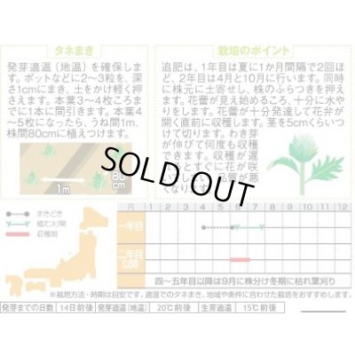 画像3: [ハーブの種] アーティチョーク 17粒 (株)サカタのタネ 実咲250(003192)