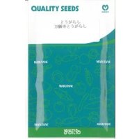 送料無料　[とうがらし]　万願寺とうがらし　20ml　丸種(株)