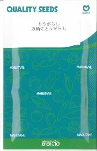 送料無料　[とうがらし]　万願寺とうがらし　20ml　丸種(株)