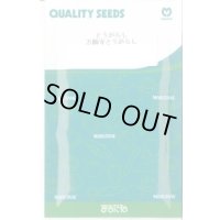 送料無料　[とうがらし]　万願寺とうがらし　20ml　丸種(株)