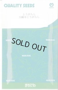 送料無料　[とうがらし]　万願寺とうがらし　20ml　丸種(株)