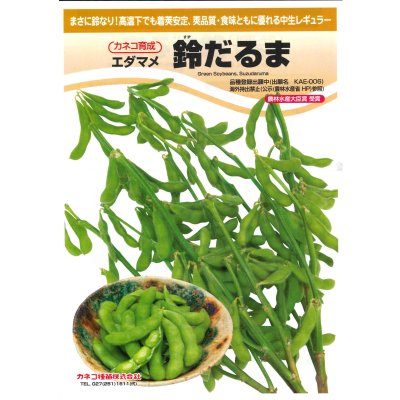 画像2: [枝豆]　鈴だるま　100粒　カネコ種苗（株）