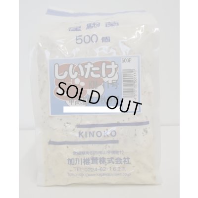 画像1: [きのこ菌]　しいたけ菌　KM-11号（秋春型）　500駒　加川椎茸（株）