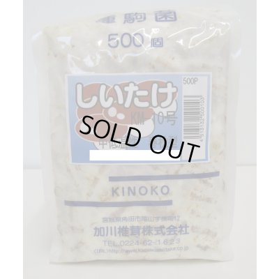 画像1: [きのこ菌]　しいたけ菌　KM-10号（春秋） 500駒　加川椎茸（株）