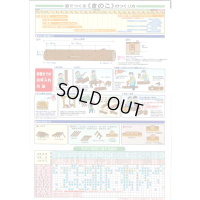 画像3: [きのこ菌]　しいたけ菌　KM-11号（秋春型）　250駒　加川椎茸（株）