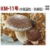 画像2: [きのこ菌]　しいたけ菌　KM-11号（秋春型）　250駒　加川椎茸（株） (2)