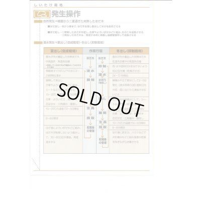 画像6: [きのこ菌]　しいたけ菌　KM-11号（秋春型）　250駒　加川椎茸（株）