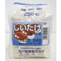 [きのこ菌]　しいたけ菌　KM-11号（秋春型）　250駒　加川椎茸（株）