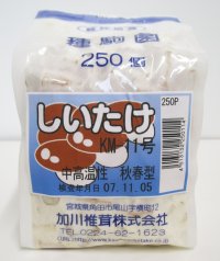 [きのこ菌]　しいたけ菌　KM-11号（秋春型）　250駒　加川椎茸（株）