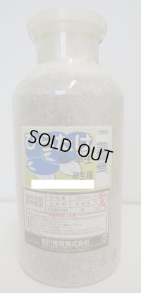 [きのこ菌]　ひらたけ　KM早生（オガクズ）1500cc　加川椎茸（株）